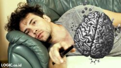 What Goes on in a Lazy Person’s Mind According to Science