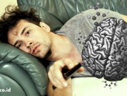 What Goes on in a Lazy Person’s Mind According to Science